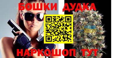 индика Пыть-Ях