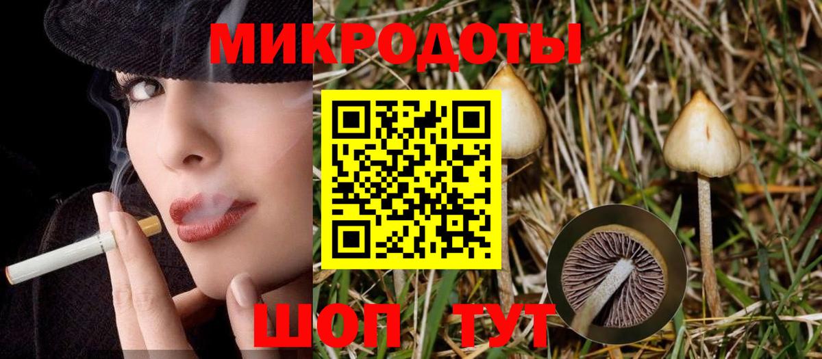 Галлюциногенные грибы Psilocybine cubensis Сергиев Посад
