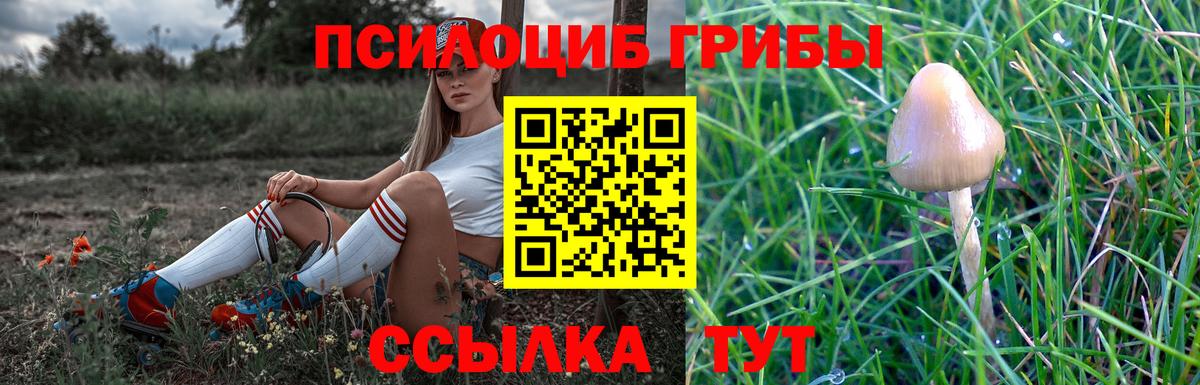 Сергиев Посад  Галлюциногенные грибы Psilocybe  Галлюциногенные грибы прущие грибы  Вход с VPN 